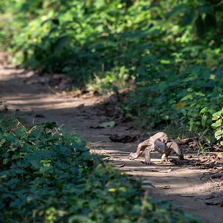 Sanctuary Chitwan National Park Exteriér fotografie