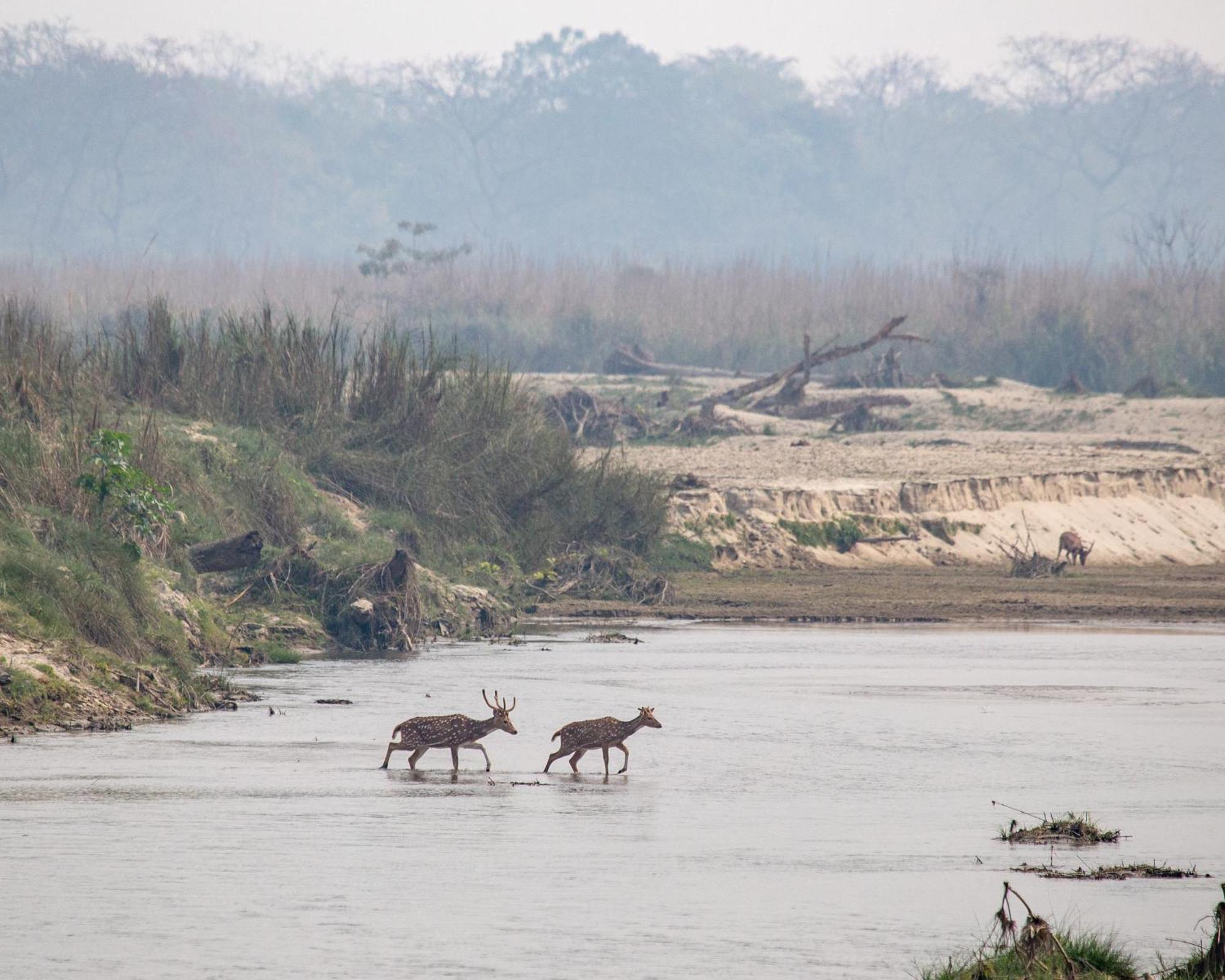 Sanctuary Chitwan National Park Exteriér fotografie