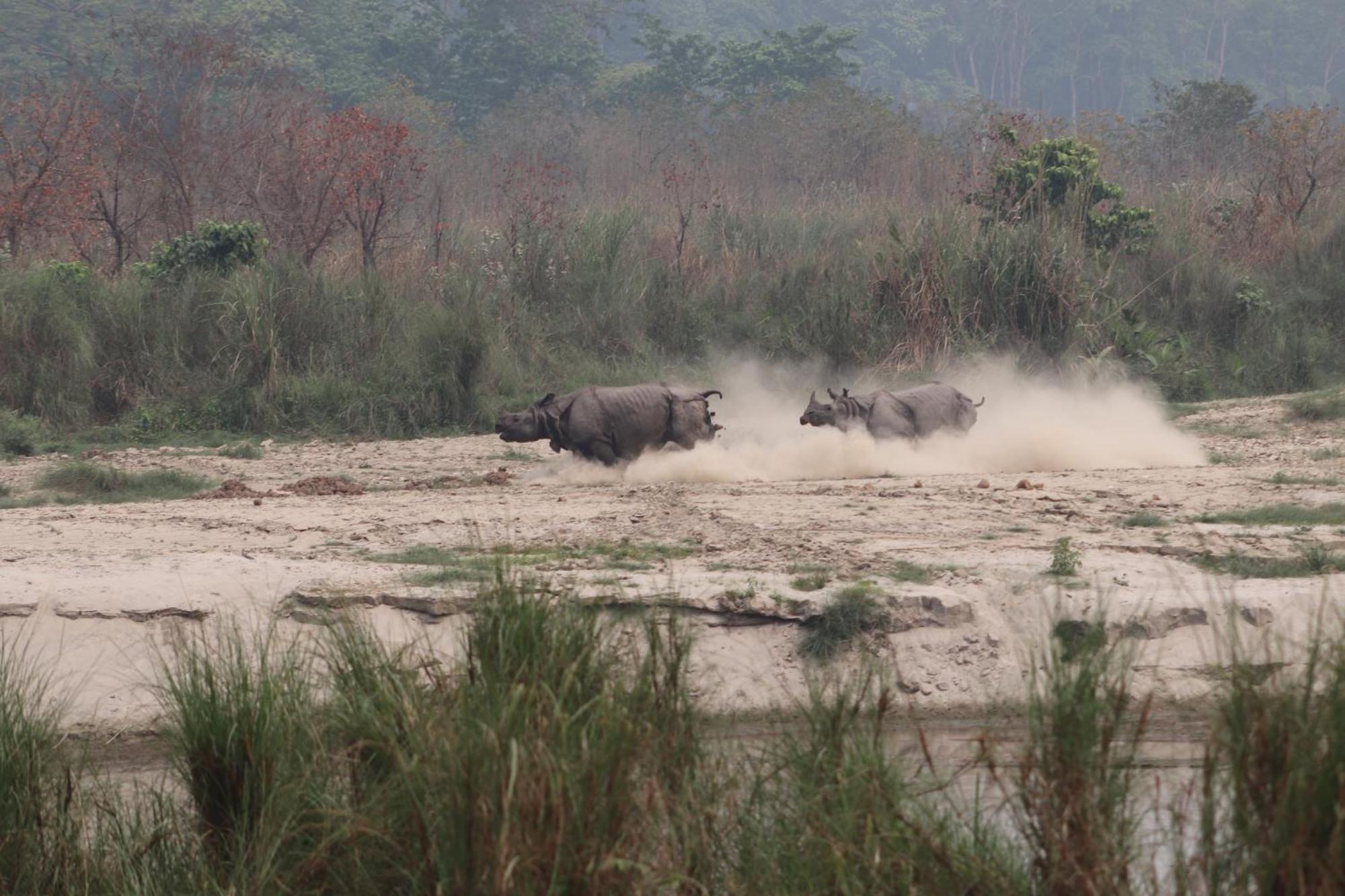 Sanctuary Chitwan National Park Exteriér fotografie