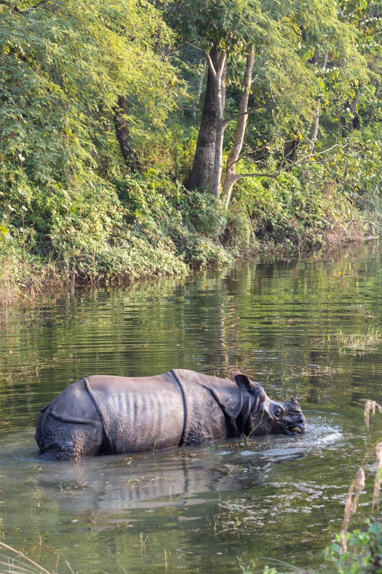 Sanctuary Chitwan National Park Exteriér fotografie