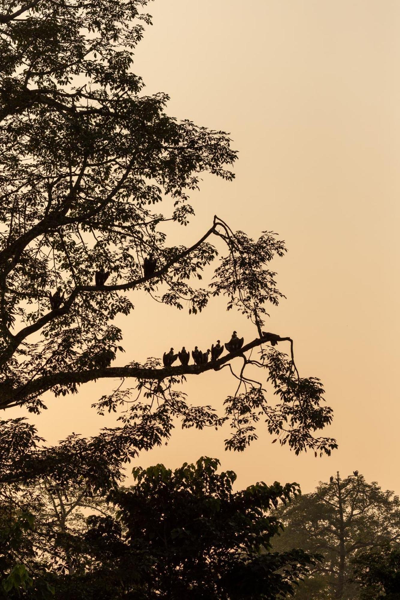 Sanctuary Chitwan National Park Exteriér fotografie